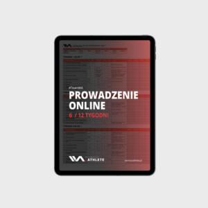 Prowadzenie online