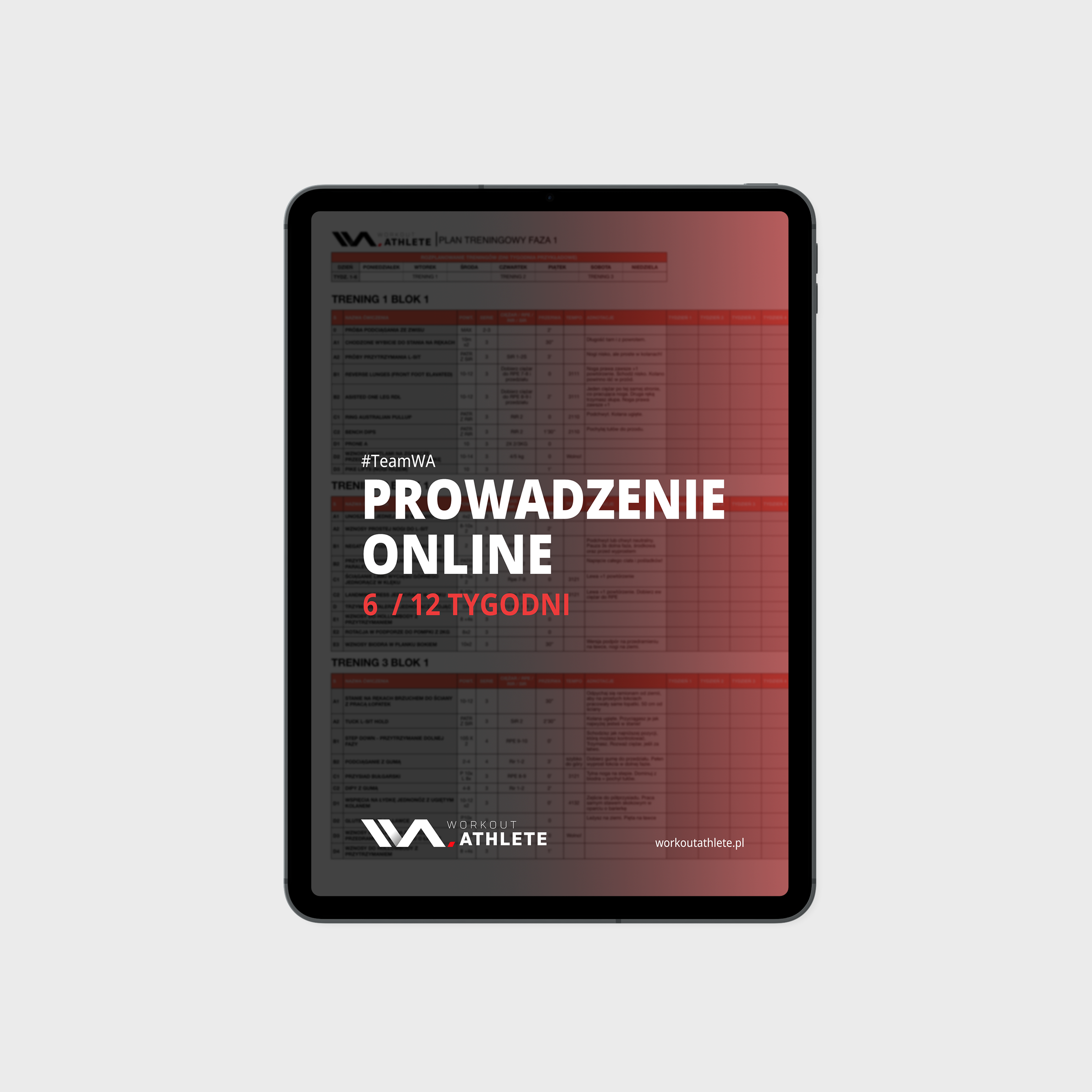 Prowadzenie online